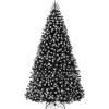 Frosted Black Spruce