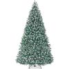 Frosted Blue Spruce