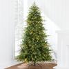 imageBest Choice Products Full Aspen Christmas Tree 6ft Prelit Realistic Noble Fir w 450 Glowing Micro LED Lights 2in1 White ampamp MulticolorGreen