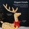 image:imageBest Choice Products 4ft 3Piece 2D Lighted Christmas Deer Family Set Large Outdoor Yard Reindeer Holiday Decoration with 175 LED Lights Stakes Zip Ties  GoldGold