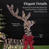 image:imageBest Choice Products 4ft 3Piece 2D Lighted Christmas Deer Family Set Large Outdoor Yard Reindeer Holiday Decoration with 175 LED Lights Stakes Zip Ties  GoldRattan