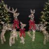 image:imageBest Choice Products 4ft 3Piece 2D Lighted Christmas Deer Family Set Large Outdoor Yard Reindeer Holiday Decoration with 175 LED Lights Stakes Zip Ties  GoldRattan