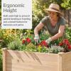 image:imageBest Choice Products 48 x 24 x 30 Raised Garden Bed with Extra Deep 16 Depth Elevated Wood Planter Box Stand for Backyard Patio Balcony Natural Fir Wood  Acorn BrownNatural