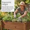 image:imageBest Choice Products Raised Herb Garden Bed Planter Box  Elevated Wooden Planter with 10 Grid Growing Compartments Drainage Holes Vegetable Flower Garden Box for Patio Balcony Backyard  NaturalAcorn