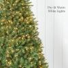 image:imageBest Choice Products Douglas Fir Christmas Tree 12ft Prelit Artificial Full Fir Lighted Holiday Decoration wWarm White Lights Metal Stand9ft
