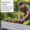 image:imageBest Choice Products 48x24x30in Galvanized Raised Garden Bed Metal Elevated Planter Box Vegetable Garden for Backyard Patio Balcony 100 Non Toxic Materials  Dark Brown Wood GrainSilver