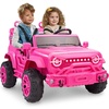 Ultimate Pink